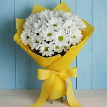 Букет цветов из:  Хризантемы в Белебее