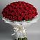 Букет 101 Красная роза Блэк Мэджик в Белебее