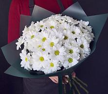 Букет цветов из:  Хризантемы #REPLACE_PRED# Белебее
