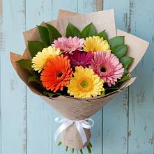 Букет цветов из:  Герберы в Белебее