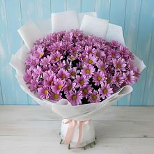 Букет цветов из:  Хризантемы в Белебее
