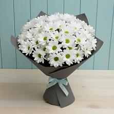 Букет цветов из:  Хризантемы в Белебее
