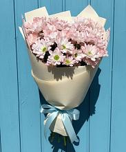 Букет цветов из:  Хризантемы #REPLACE_PRED# Белебее