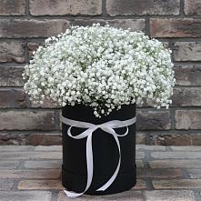 Цветочная композиция из Гипсофила в шляпной коробке в Белебее