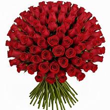 Букет Красные розы Чери Лав в Белебее