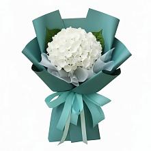 Букет цветов из:  Гортензия #REPLACE_PRED# Белебее